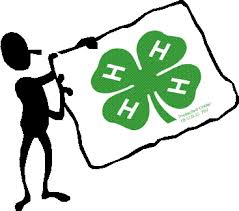 Cover photo for Mecklenburg County 4-H County Activity Day