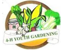 Cover photo for 4-H Youth Gardening News: 2014 Update