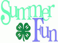 Cover photo for Summer Fun 2014