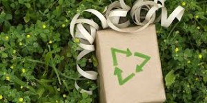 Cover photo for Join Mecklenburg County 4-H & FCS for Green Gifts Family Event