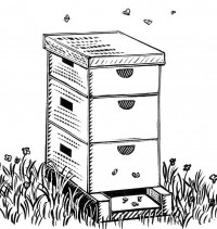 Cover photo for 4-H Grow for It Program: Beekeeping Essay Contest