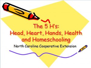 Cover photo for 4-H Youth Volunteer Leader Training