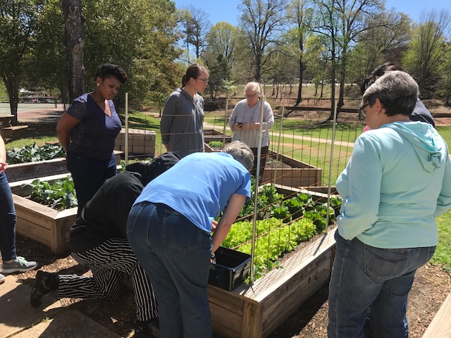 Group of adults looking at raised bed vegetable gardens