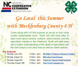 Cover photo for Sustainable Summer: Going Local With 4-H