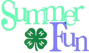 Cover photo for 2017 4-H Summer Fun!