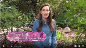 Cover photo for Welcome Lauren Hill to Successful Gardener