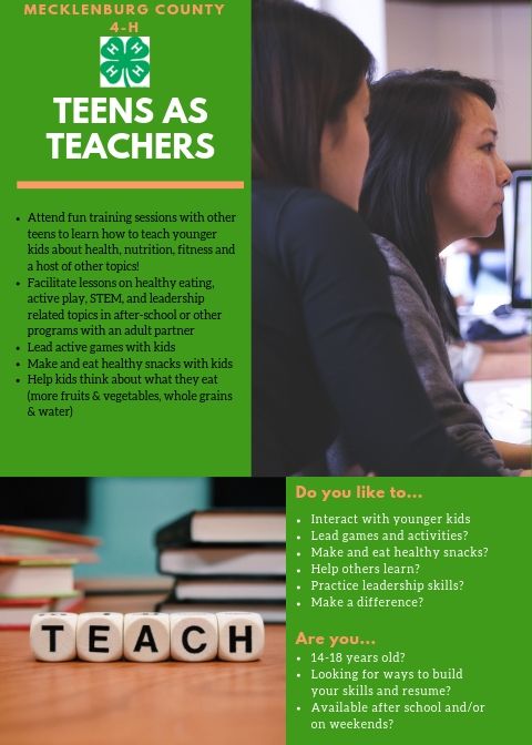 Teens as Teachers flyer image