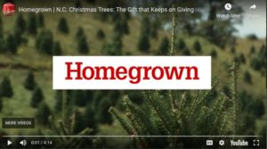 Christmas Trees with HomeGrown Title