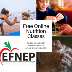 online classes