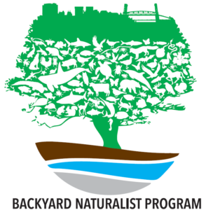 backyard naturalist logo