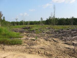 Cover photo for Rowan County Forestry Field Day