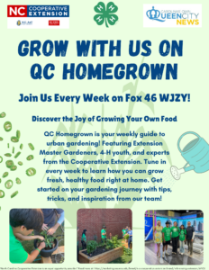 QC Homegrown series flyer