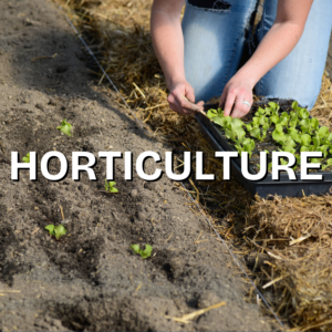 horticulture