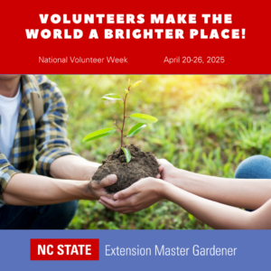 Cover photo for National Volunteer Week