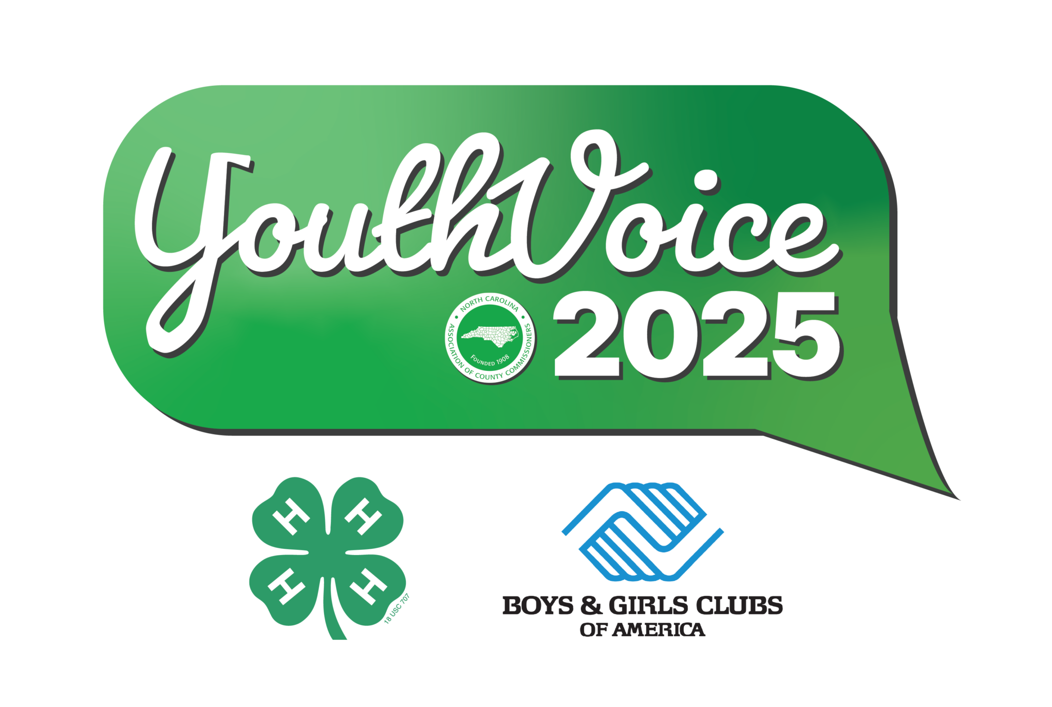 youth voice 2025