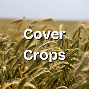 cover crops