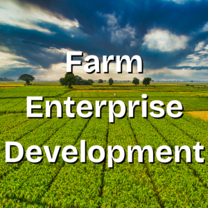 farm enterprise development