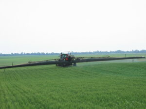 Cover photo for Getting Ahead of Wheat and Barley Diseases