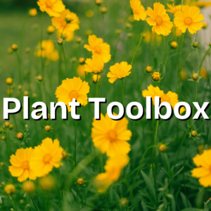plant toolbox
