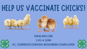 Cover photo for Help Us Vaccinate Chicks!