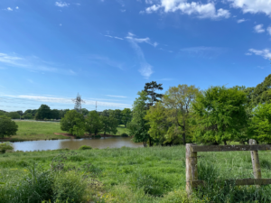 Edgewater Farm