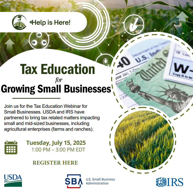 Tax Education for Growing Small Businesses