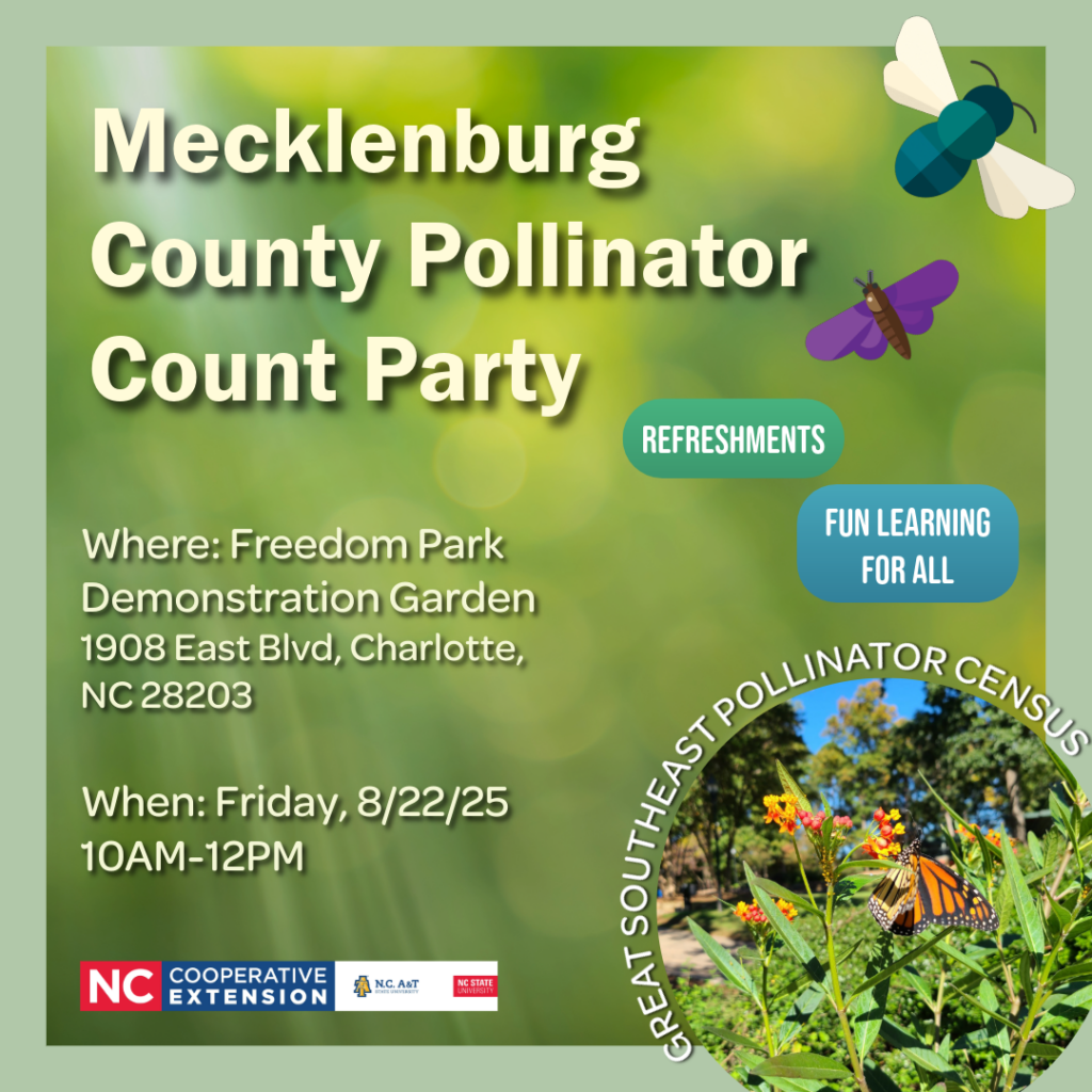 Mecklenburg County Pollinator Count Party