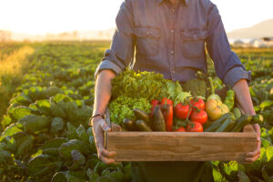 Cover photo for Community Supported Agriculture (CSA) - a Shared Harvest